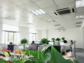 seo軟件對企業網絡推廣存在的弊端有哪些