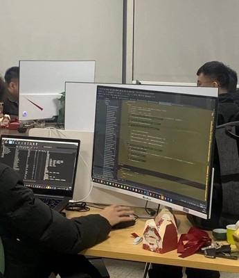 軟件外包與自研 企業技術路徑的戰略抉擇